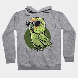 Cute Birds Owners Exotic pets Quaker Parrot Lovers Hoodie